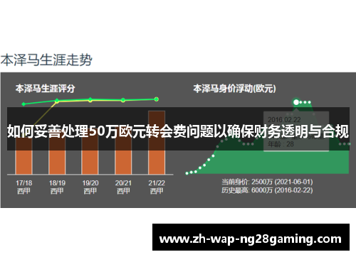 如何妥善处理50万欧元转会费问题以确保财务透明与合规