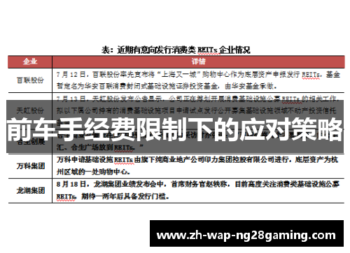 前车手经费限制下的应对策略