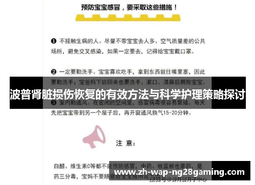 波普肾脏损伤恢复的有效方法与科学护理策略探讨