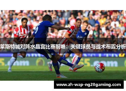 莱斯特城对阵水晶宫比赛前瞻：关键球员与战术布置分析