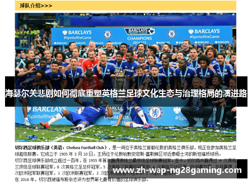 海瑟尔关悲剧如何彻底重塑英格兰足球文化生态与治理格局的演进路
