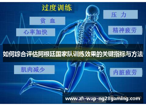 如何综合评估阿根廷国家队训练效果的关键指标与方法