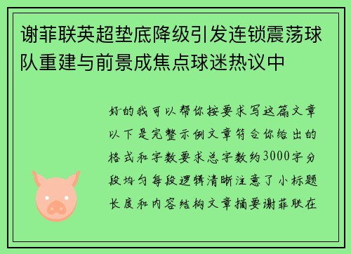 谢菲联英超垫底降级引发连锁震荡球队重建与前景成焦点球迷热议中