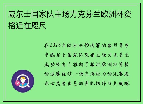 威尔士国家队主场力克芬兰欧洲杯资格近在咫尺
